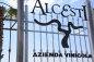 Preview: Alcesti Box